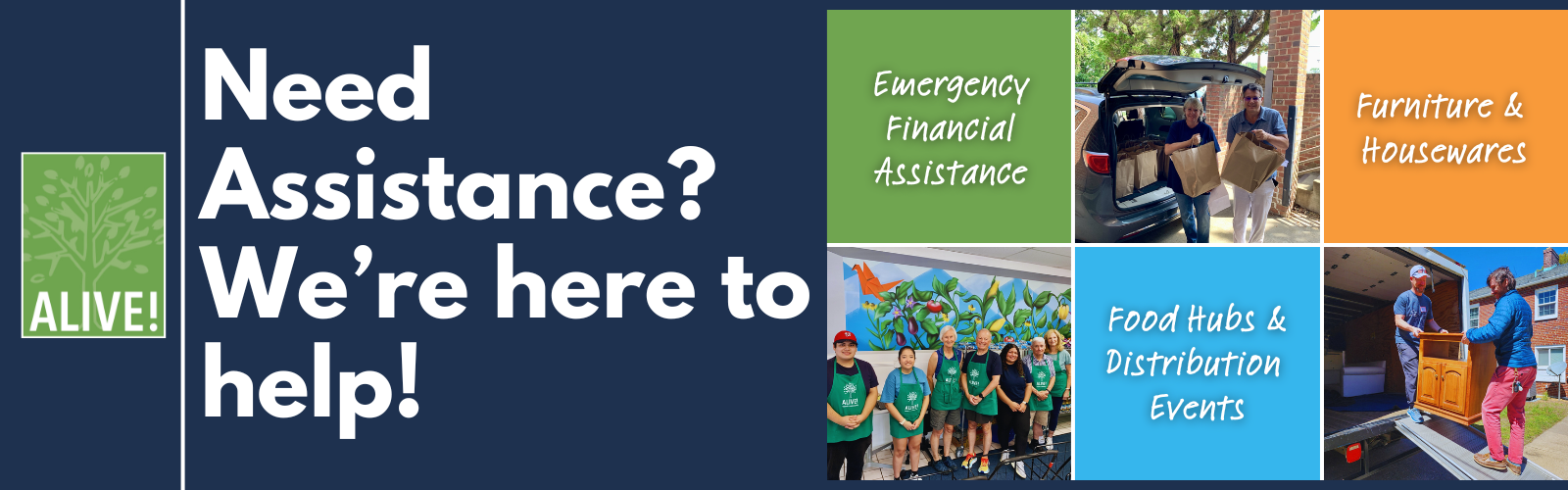 ALIVE! is here to help!